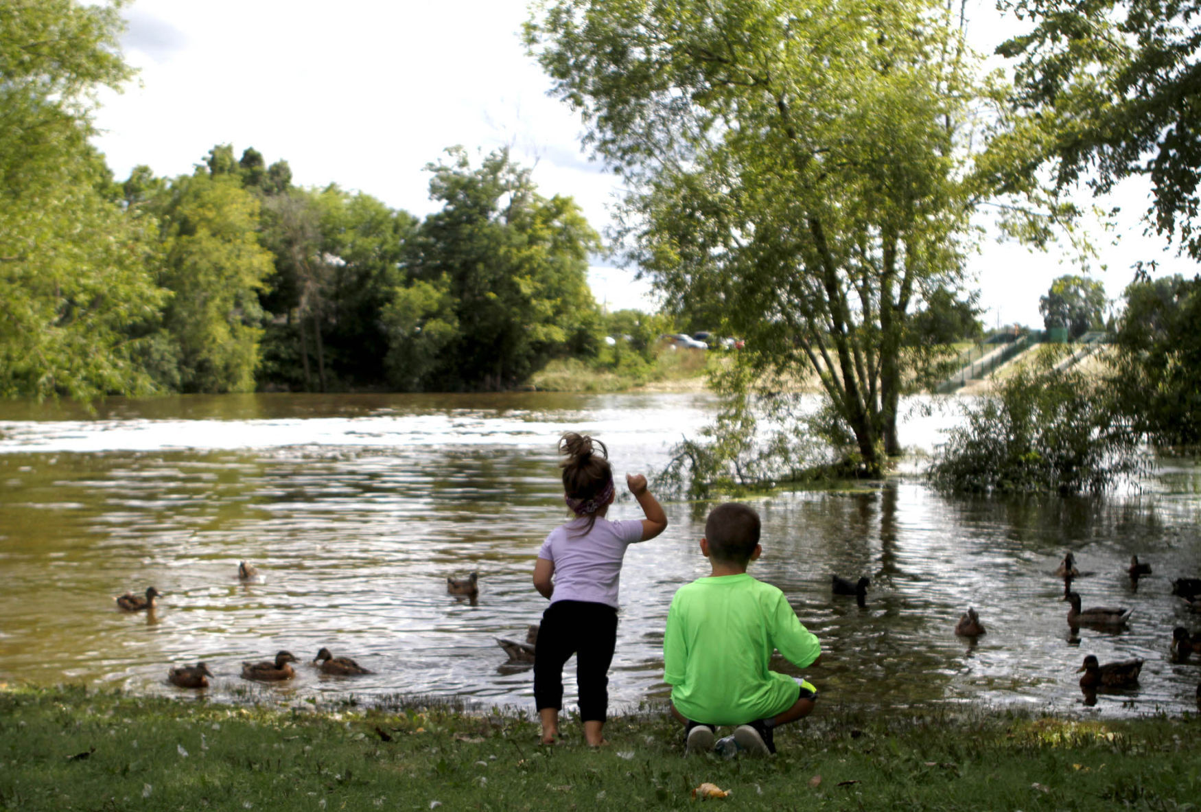 Hobart fest goes on without dam duck race